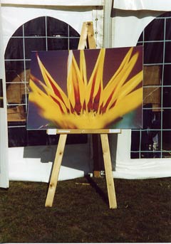 Img_661_picture.jpg
