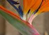 Img_738_picture_0x70.jpg