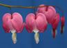 Img_741_picture_0x70.jpg