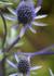Img_770_picture_0x70.jpg