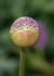 Img_776_picture_0x70.jpg