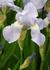 Img_787_picture_0x70.jpg