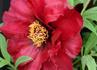 Img_796_picture_0x70.jpg