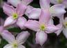Img_836_picture_0x70.jpg