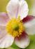 Img_845_picture_0x70.jpg