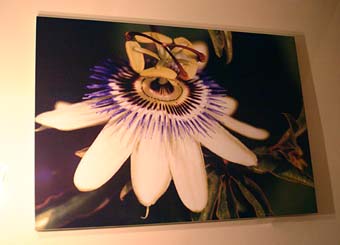 Img_847_picture.jpg