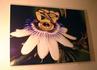 Img_847_picture_0x70.jpg