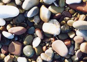 Product_107_picture.jpg