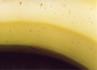 Product_160_picture_0x70.jpg