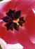 Product_189_picture_0x70.jpg