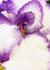 Product_318_picture_0x70.jpg