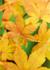 Product_36_picture_0x70.jpg