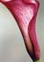 Product_408_picture_0x70.jpg