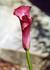 Product_410_picture_0x70.jpg