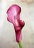 Product_411_picture_0x70.jpg