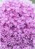 Product_56_picture_0x70.jpg