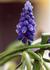 Product_58_picture_0x70.jpg