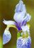Product_63_picture_0x70.jpg