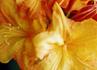 Product_75_picture_0x70.jpg