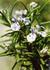 Product_77_picture_0x70.jpg