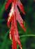 Product_78_picture_0x70.jpg