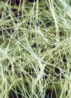 Product_80_picture.jpg