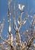 _483_picture_0x70.jpg