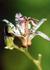 _512_picture_0x70.jpg