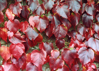 _537_picture.jpg