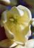 _553_picture_0x70.jpg
