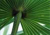 _559_picture_0x70.jpg