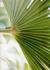 _562_picture_0x70.jpg