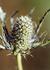 _568_picture_0x70.jpg