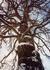 _571_picture_0x70.jpg