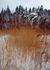 _573_picture_0x70.jpg