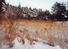 _574_picture_0x70.jpg