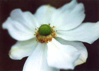 _576_picture.jpg