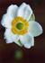 _577_picture_0x70.jpg