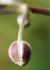 _579_picture_0x70.jpg