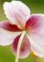 _580_picture_0x70.jpg