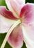 _581_picture_0x70.jpg