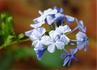 _588_picture_0x70.jpg
