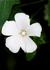 _601_picture_0x70.jpg