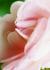 _628_picture_0x70.jpg